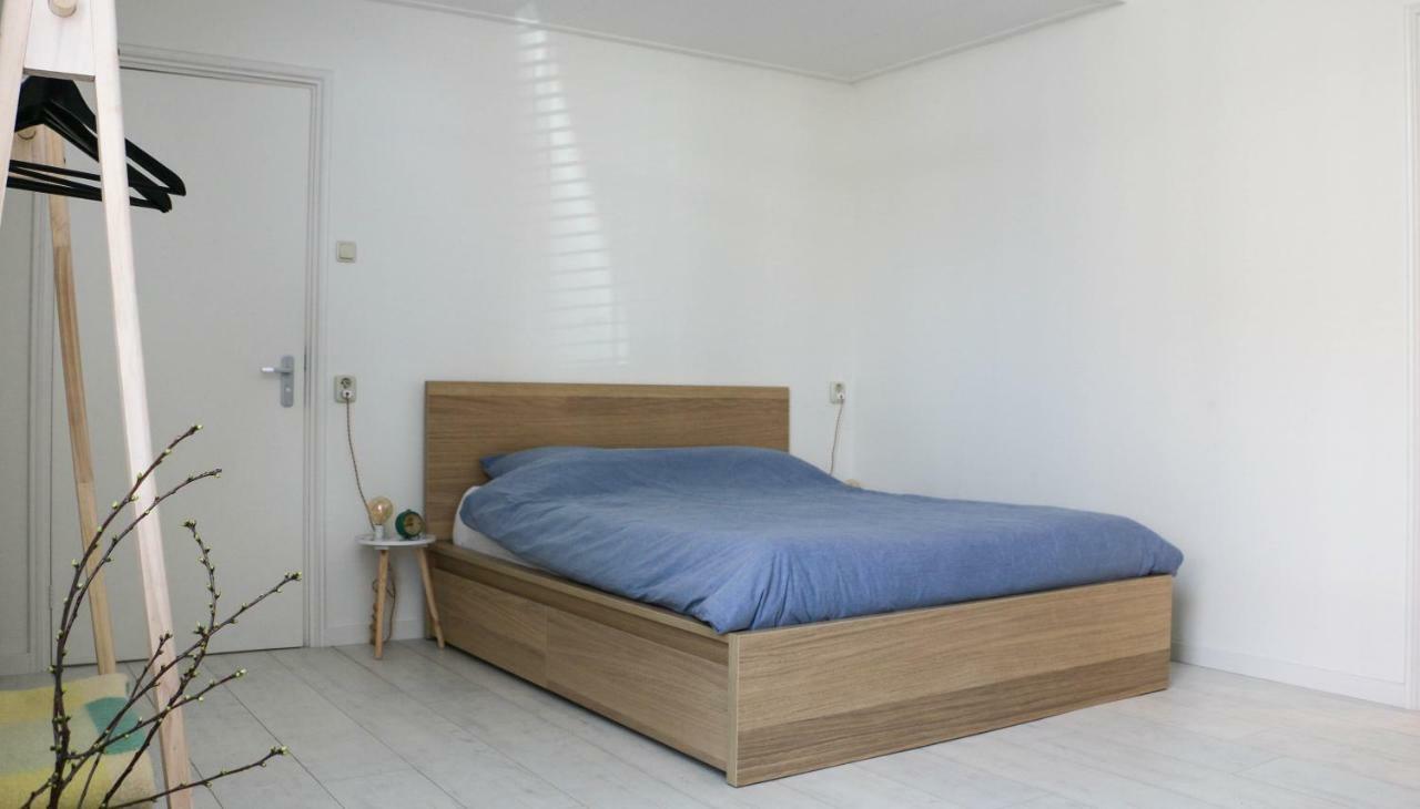 Logement Nij Bonga Holwerd Exteriér fotografie